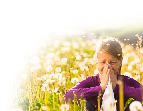 luchtreinigers-allergie