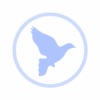 luchtreinigers-met-ionisator-voor-vogels