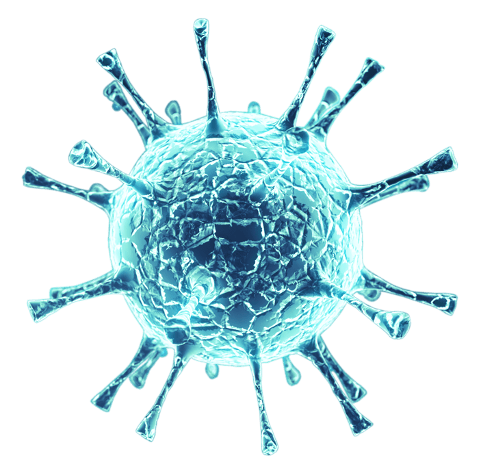 virus-covid19