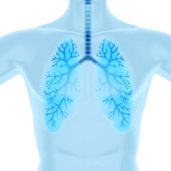 luchtreinigers-astma