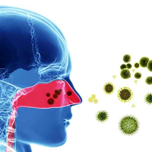 allergische-klachten-pollen-hooikoorts