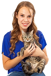 Luchtreinigers bij katten Luchtreinigers bij katten